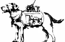 Psy-kamikadze i koktajle Mołotowa. Sowieckie sposoby na niemieckie czołgi