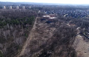 Właściciel chce sprzedać las miastu Kraków, lecz urząd nie jest zainteresowany.