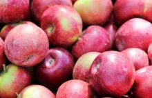 Rosja: jabłka z Polski są przemycane przez Serbię i Białoruś