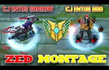 CJ Entus Shadow VS CJ Entus BDD - Who is better ?