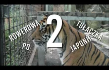 Jak nie zwiedzać zoo w Nagoyi