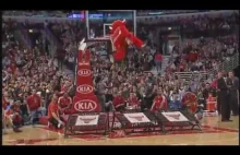 Benny the Bull - chyba najciekawsza maskotka NBA