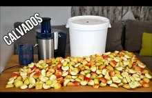 Jak zrobić bimber z jabłek - Calvados
