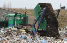 Grupy przestępcze odpowiadają za nielegalne wysypiska w Bytomiu