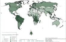 Lesistość na świecie (ile % powierzchni kraju stanowią lasy)