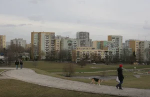 Czy bloki z wielkiej płyty naprawdę się rozpadną?