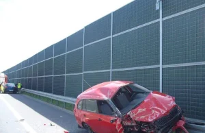 Wypuścił psy na autostradzie żeby sobie pobiegały. Skończyło się dachowaniem.