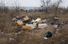 Wrocław: Skazani na sąsiedztwo Romów. Jak w trzecim świecie
