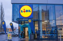 Lidl sięga po studentów. 'Pensja 3000 zł miesięcznie'