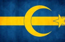 Imigranci w szwedzkim miasteczku napadają, gwałcą i kradną. Rząd nie chce pomóc