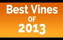 Best Vines of 2013 THE ultimate and BEST VINE compilation