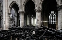 Po pożarze Notre Dame: Apel do mieszkańców o jak najszybsze badania krwi
