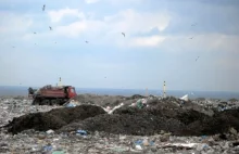 Hojny ratusz: Milion złotych za rady o śmieciach
