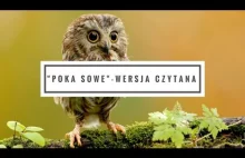 "Poka Sowe" - Wersja czytana