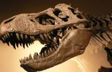 Przyczyną wyginięcia dinozaurów była jajorodność?