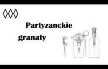 Partyzanckie granaty - Irytujący Historyk