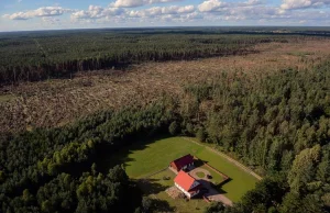 Najlepsze zdjęcia polskich fotoreporterów. Jest co obejrzeć