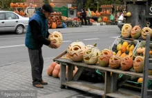 Krucjata Fondy przeciwko Halloween