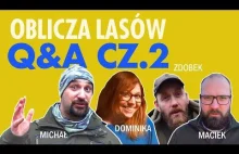 Q&A z Dominiką, Maćkiem, Michałem i Zdobkiem - część 2 - Oblicza Lasów