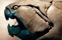 Dunkleosteus – prehistoryczny król oceanów