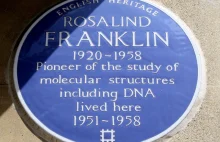 Niedoceniona odkrywczyni DNA – historia Rosalind Franklin