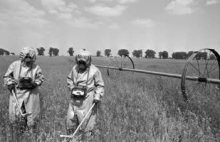 Czarnobyl 26 lat po katastrofie. Znów zagraża?