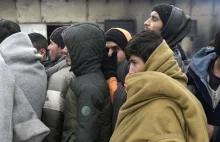 Przy granicy z Polską zatrzymano ciężarówkę z 51 migrantami