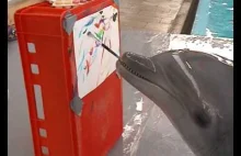Delfin który lubi malować