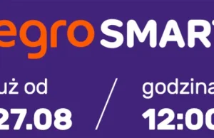 Allegro Smart: za przesyłkę płacisz raz w roku 49 zł i dalej nie martwisz się