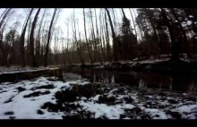 field recording: winter evening by the river in the forest
