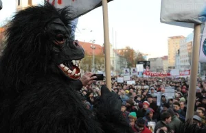 Słowacy obrzucili parlament jajkami i bananami - oni też są #!$%@?