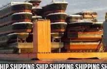 O statkach, które transportują inne statki