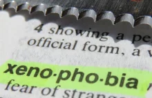 "Ksenofobia" najczęściej wyszukiwanym słowem w 2016 roku