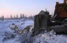 Rosjanie ratują rosomaka tundrowego, który wpadł do głębokiej dziury.