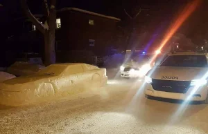 Redditor wyrzeźbił ze śniegu samochód w miejscu, gdzie nie wolno parkować