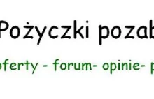 Pożyczki pozabankowe bez Bik na raty na dowód przez internet