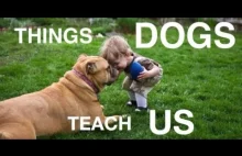 Czego możesz się nauczyć od swojego psa...