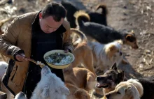Chiński milioner wydał swoje wszystkie pieniądze, by ratować bezpańskie psy