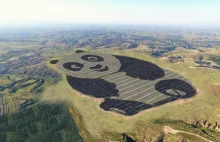 Chiny właśnie zbudowały elektrownie słoneczną w kształcie pandy