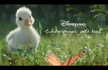 Disney właśnie wrzucił na YouTube swoją najlepszą tegoroczną animację.