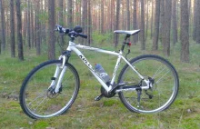Prośba do Wiary z Poznania o pomoc w odzyskaniu roweru