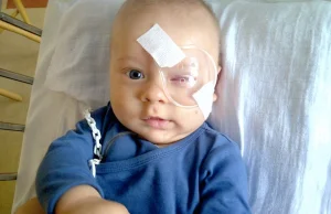 Pamiętacie Kubusia który stracił oko? Potrzeba pieniędzy na dalsze leczenie.
