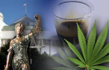 W Polsce będzie można legalnie leczyć marihuaną? Do Sejmu trafił projekt ustawy