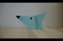 Origami. Jak zrobić mysz z papieru (samouczek wideo)
