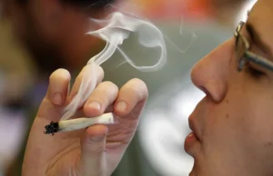 Naukowcy: Marihuana szkodzi studentom - pogarsza pamięć i koncentrację