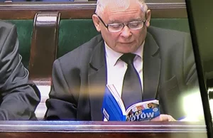 Prezes Kaczyński czyta w Sejmie atlas kotów...