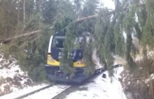 Kolizja pociągu z drzewem. Uszkodzony skład, zerwana trakcja