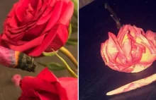 Marihuana palona w skrętach z płatków róży to nowa moda na Instagramie