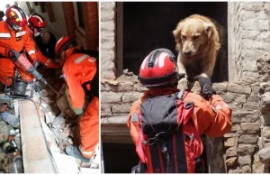 Zobacz, jak pracują polscy ratownicy w Nepalu [FILMY i ZDJĘCIA]