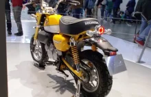 Nowość - Honda Monkey 125